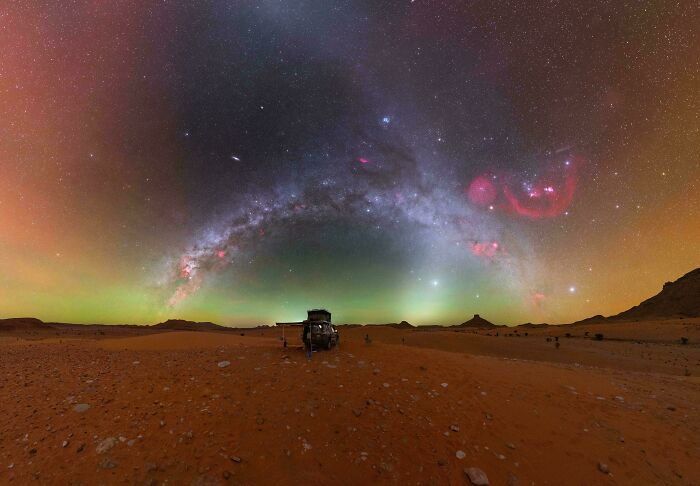 Wait, Why Are These Gigantic Things So Freaky?