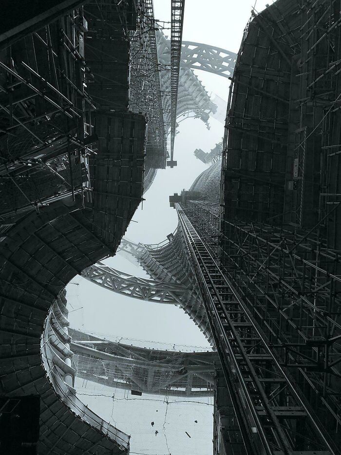 Wait, Why Are These Gigantic Things So Freaky?