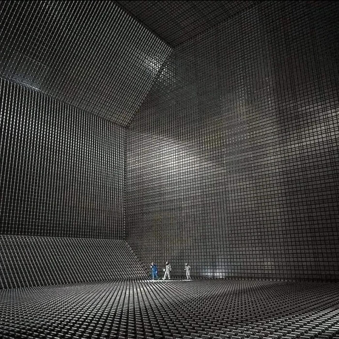 Wait, Why Are These Gigantic Things So Freaky?