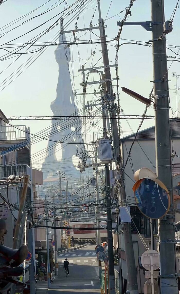 Wait, Why Are These Gigantic Things So Freaky?