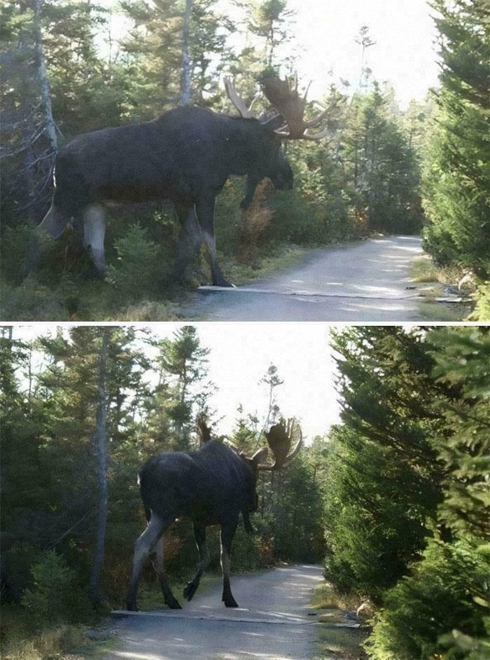 Wait, Why Are These Gigantic Things So Freaky?