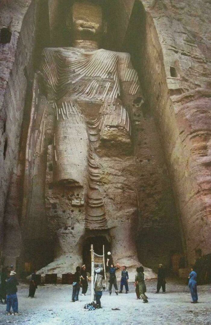 Wait, Why Are These Gigantic Things So Freaky?