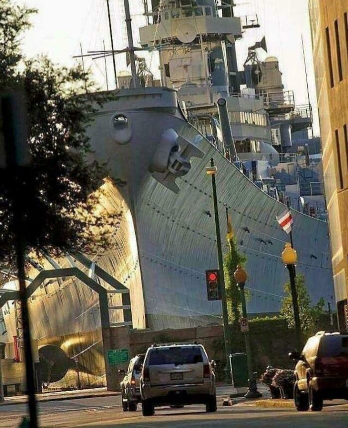 Wait, Why Are These Gigantic Things So Freaky?
