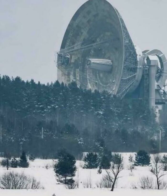 Wait, Why Are These Gigantic Things So Freaky?