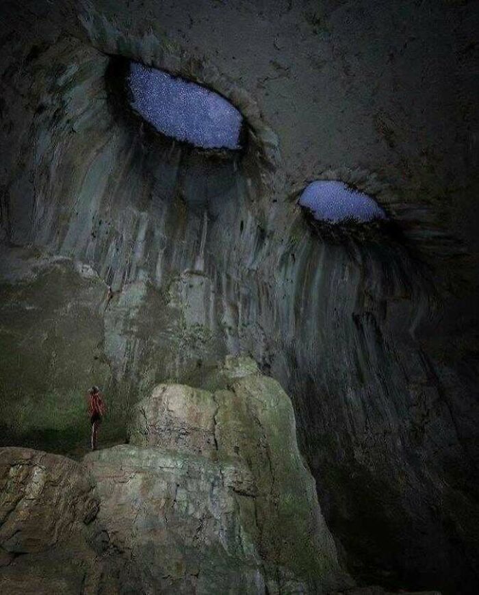 Wait, Why Are These Gigantic Things So Freaky?