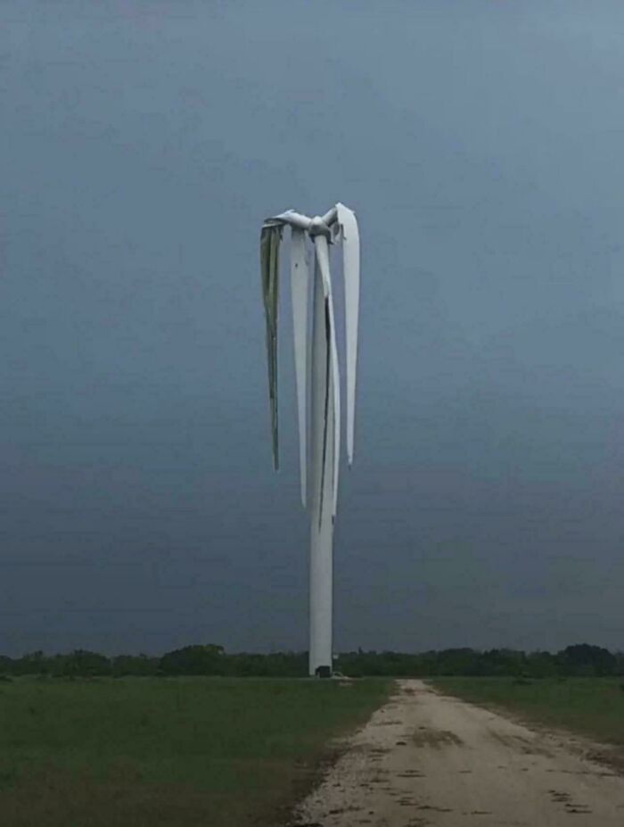 Wait, Why Are These Gigantic Things So Freaky?
