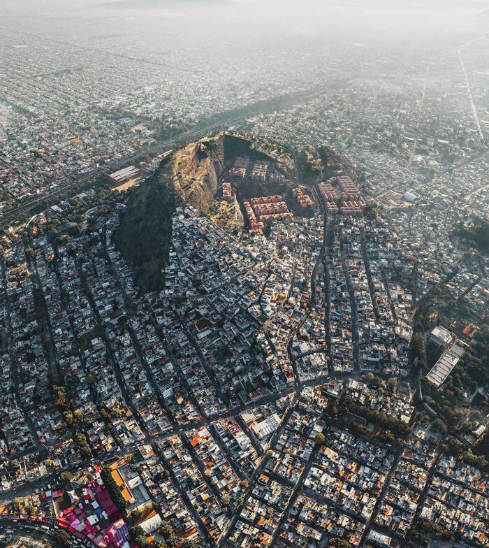 Wait, Why Are These Gigantic Things So Freaky?