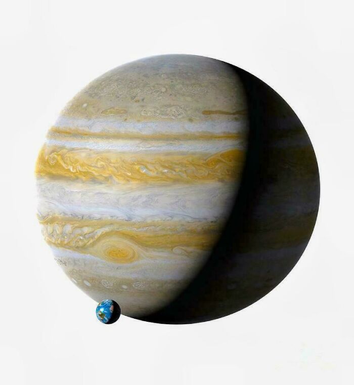 Wait, Why Are These Gigantic Things So Freaky?