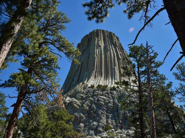 Wait, Why Are These Gigantic Things So Freaky?