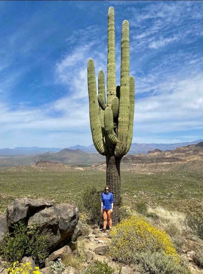 Wait, Why Are These Gigantic Things So Freaky?