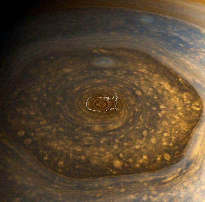 Wait, Why Are These Gigantic Things So Freaky?