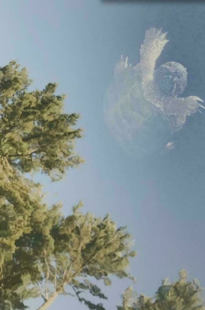 Wait, Why Are These Gigantic Things So Freaky?