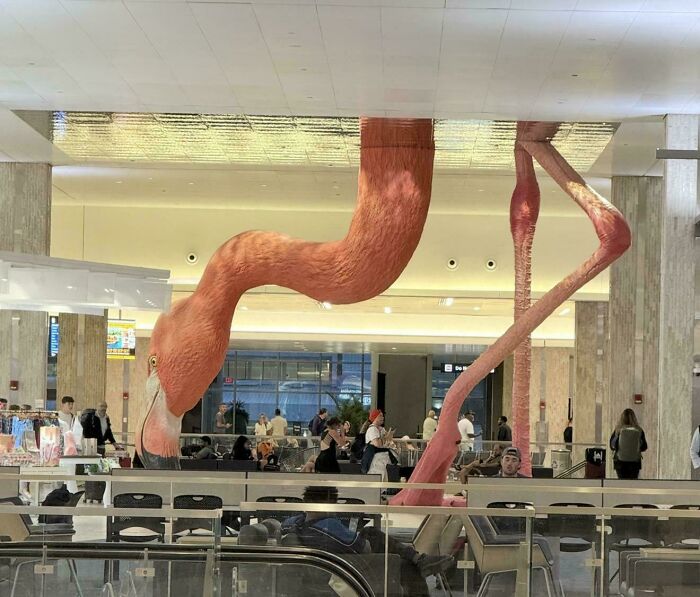 Wait, Why Are These Gigantic Things So Freaky?