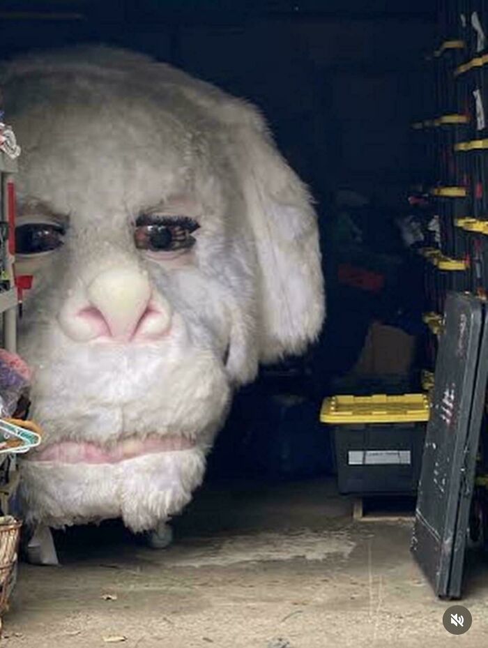 Wait, Why Are These Gigantic Things So Freaky?