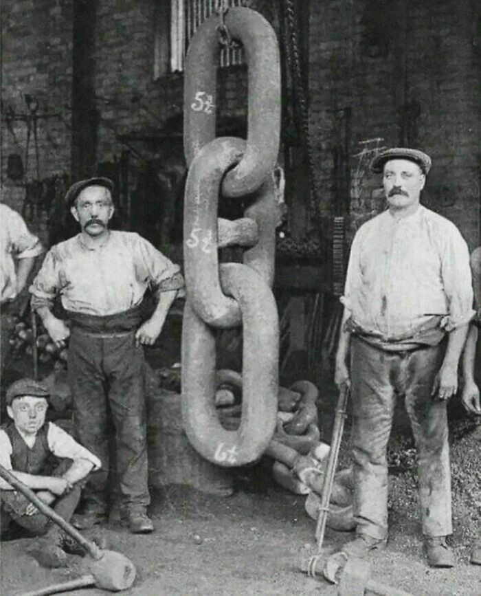 Wait, Why Are These Gigantic Things So Freaky?