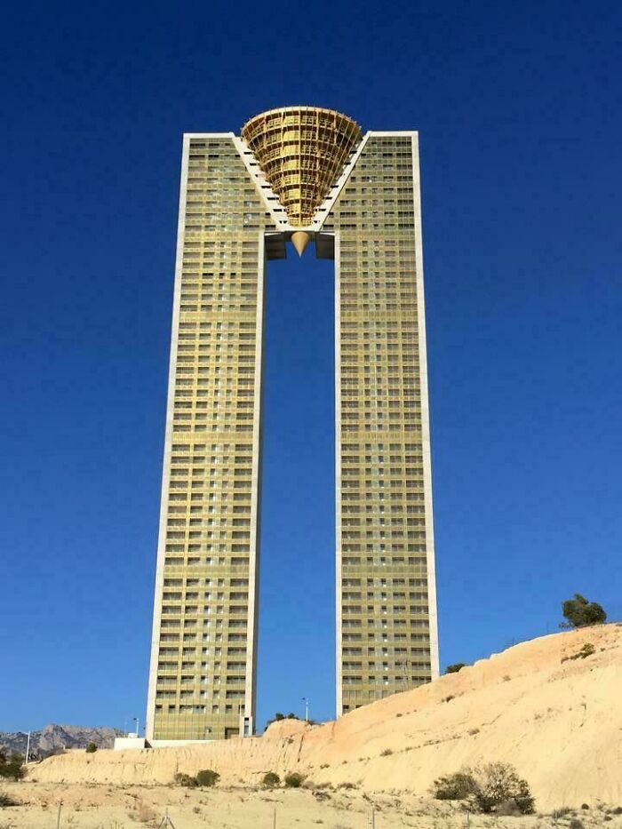 Wait, Why Are These Gigantic Things So Freaky?