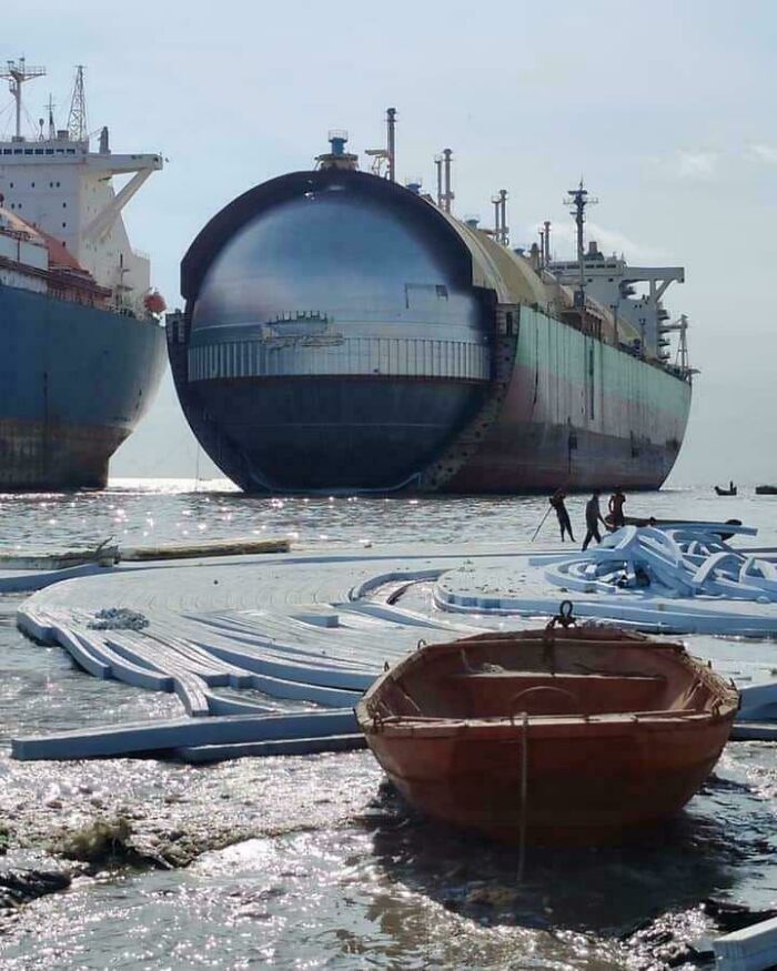 Wait, Why Are These Gigantic Things So Freaky?