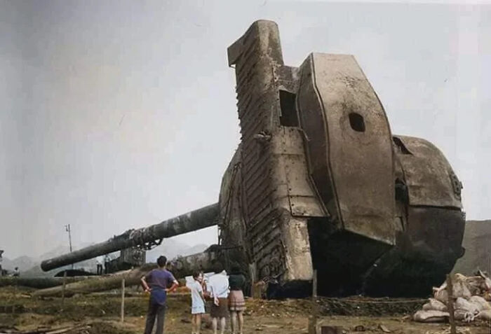 Wait, Why Are These Gigantic Things So Freaky?