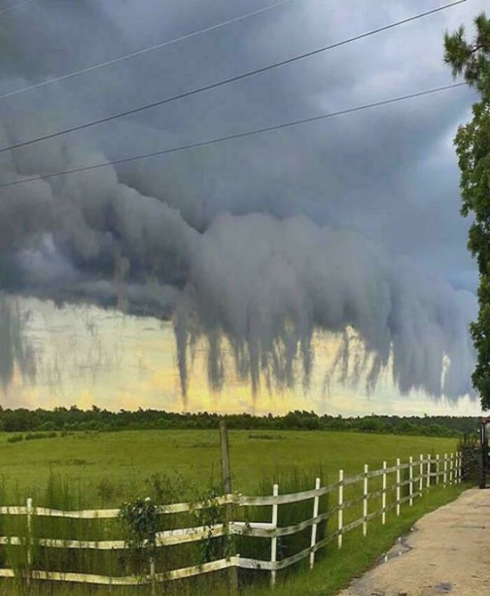 Wait, Why Are These Gigantic Things So Freaky?