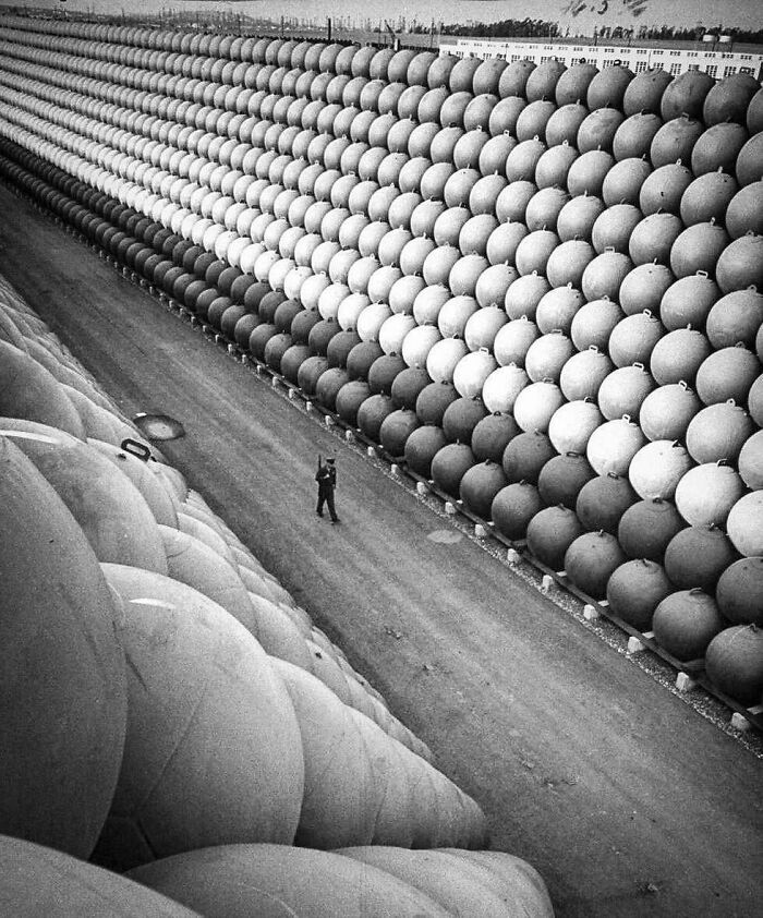 Wait, Why Are These Gigantic Things So Freaky?