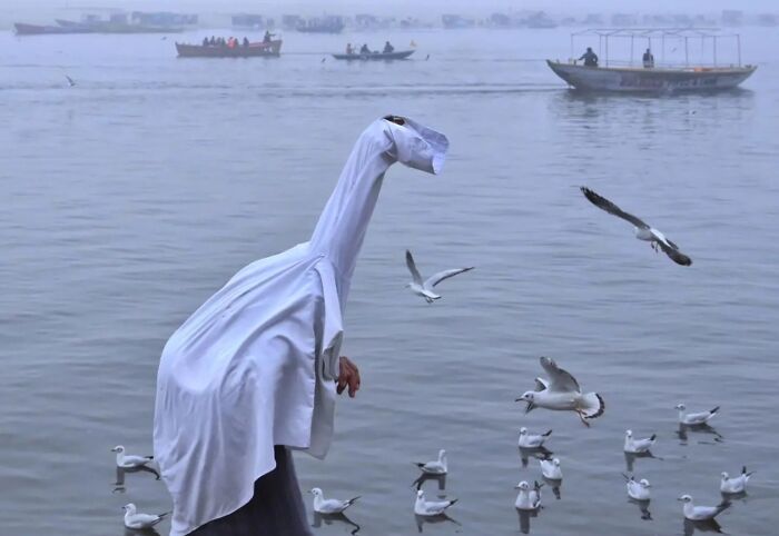 Wait, Animals Took Over These 43 Street Photos!