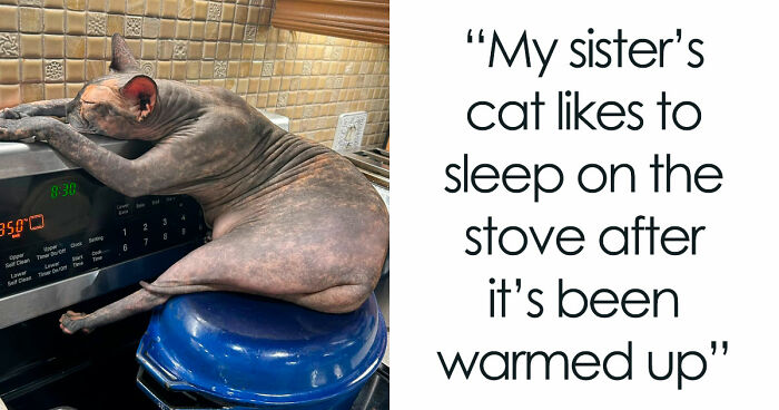 Wait Till You See These Hilariously Goofy Animals!