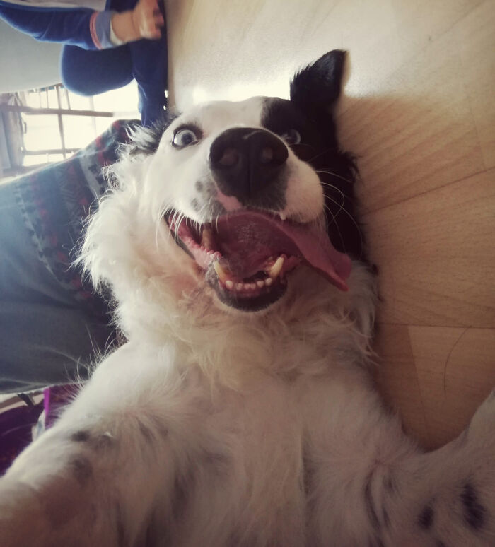 Meet Snow, The Master of Knowing Absolutely Nothing