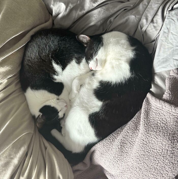 They Made a Heart, Because Why Not?