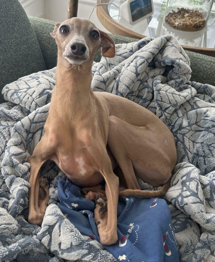 My Boy and His Ridiculously Long Legs