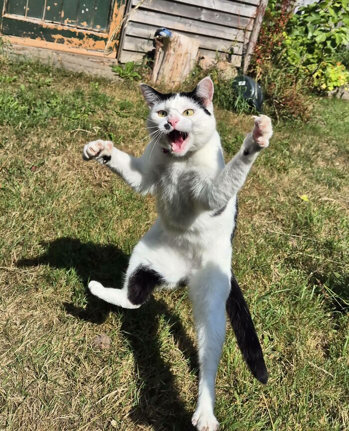 She’s Beauty, She’s Grace, But Mostly Just Derp