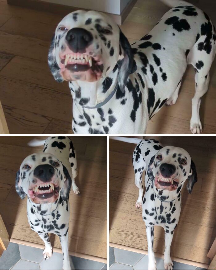 Every Time I’m Getting Ready to Leave, This Happens