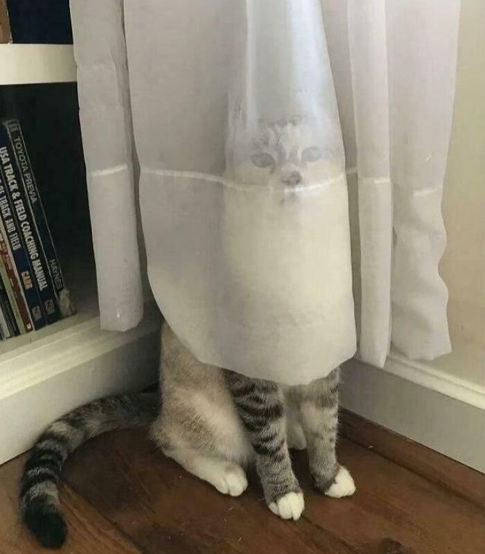 She Thinks She’s Invisible (Spoiler: She’s Not)