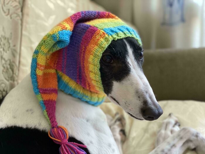 She Loves Her Winter Hat Like It’s a Fashion Statement