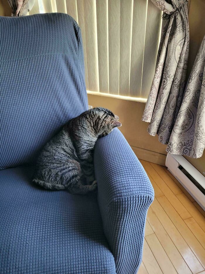 Derpy Sleepy Mode: Activated