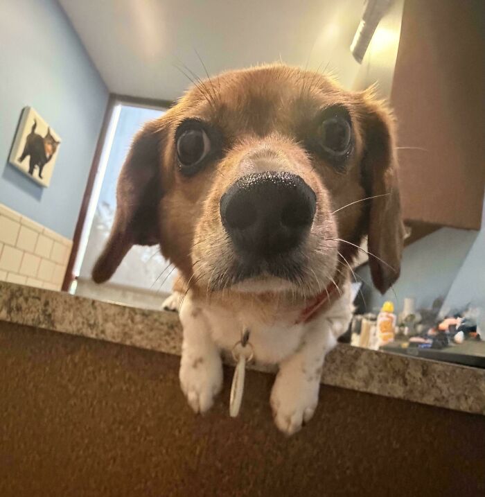 Hey, What’re You Doing There?