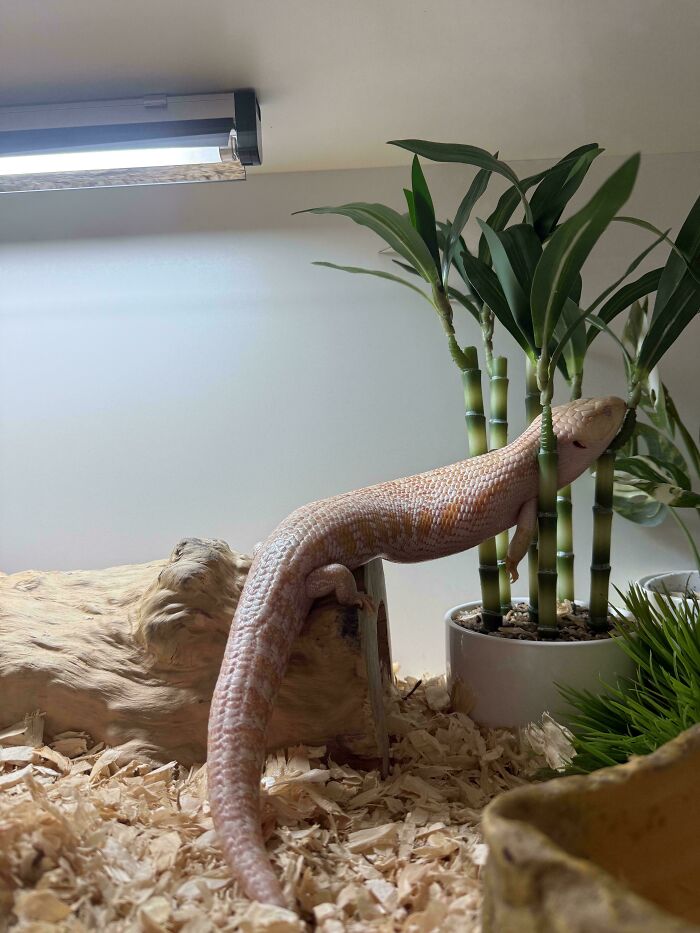 And This Is Exactly How He Slept