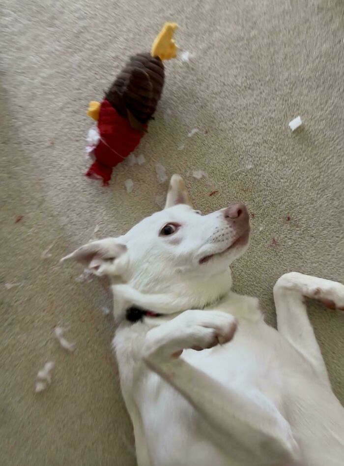 He Claims It Was Self-Defense, but We’re Not So Sure