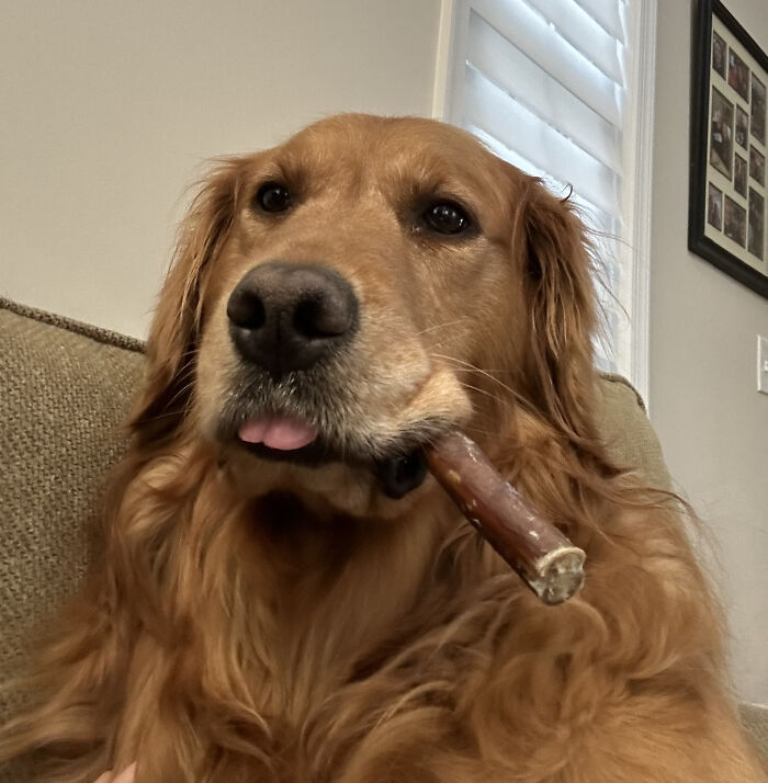 Caught Madam Derpy Taking a Lil Smoke Break (Don’t Try This at Home)