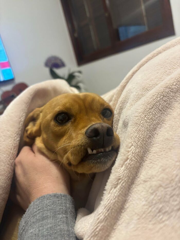 Sometimes Her Lip Just Gets Stuck on Her Teef