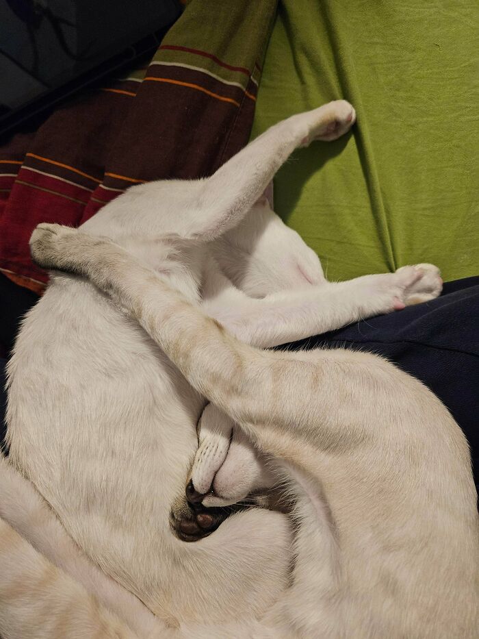 Surely There Are Better Spots? Nope, This is It!