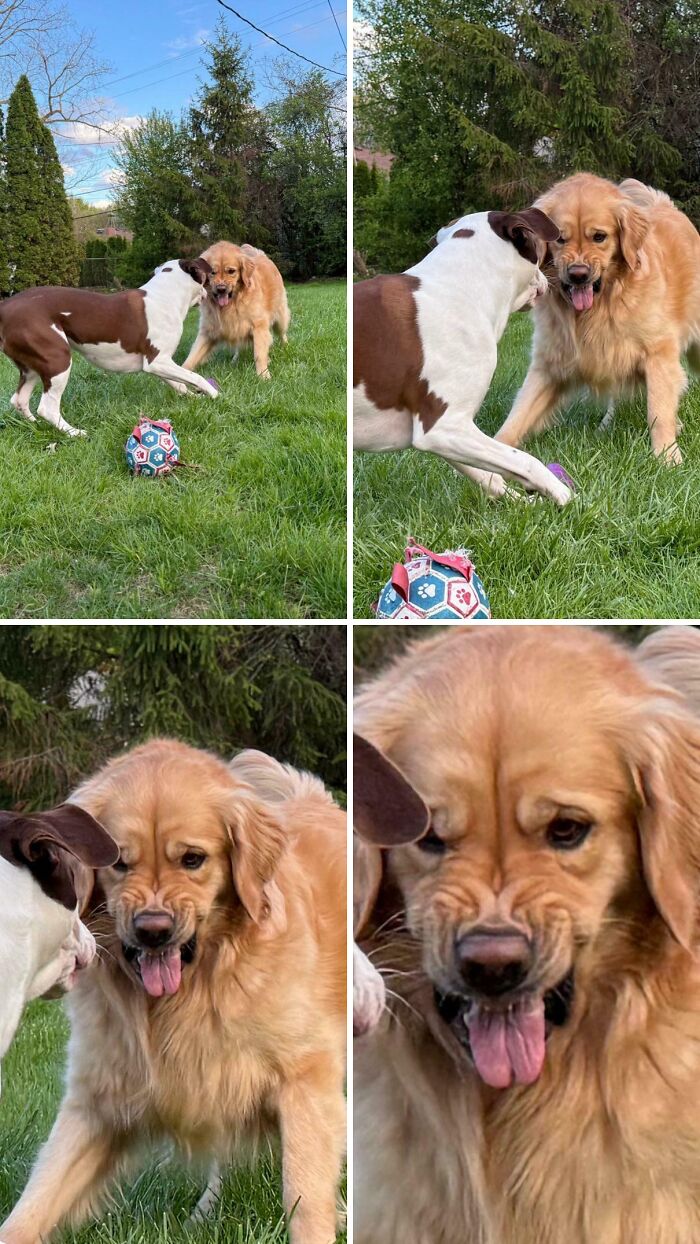 Scary Face Level: Expert (But Mostly for Fun)