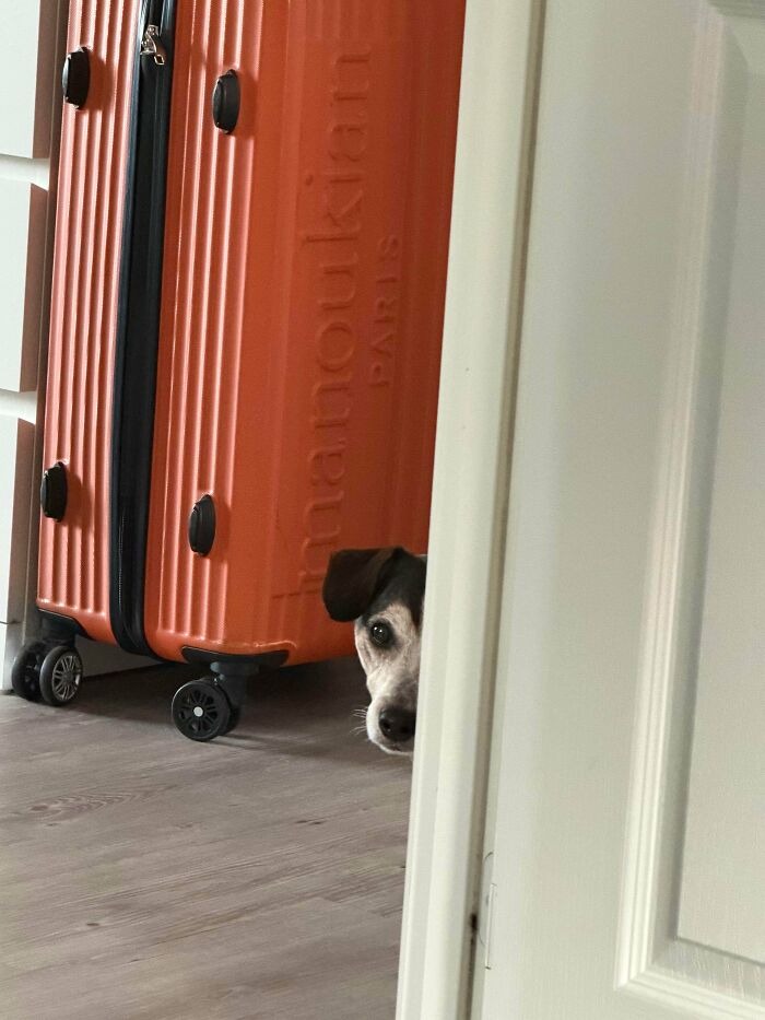 I Always Feel Like Somebody’s Watching Me... And They Are