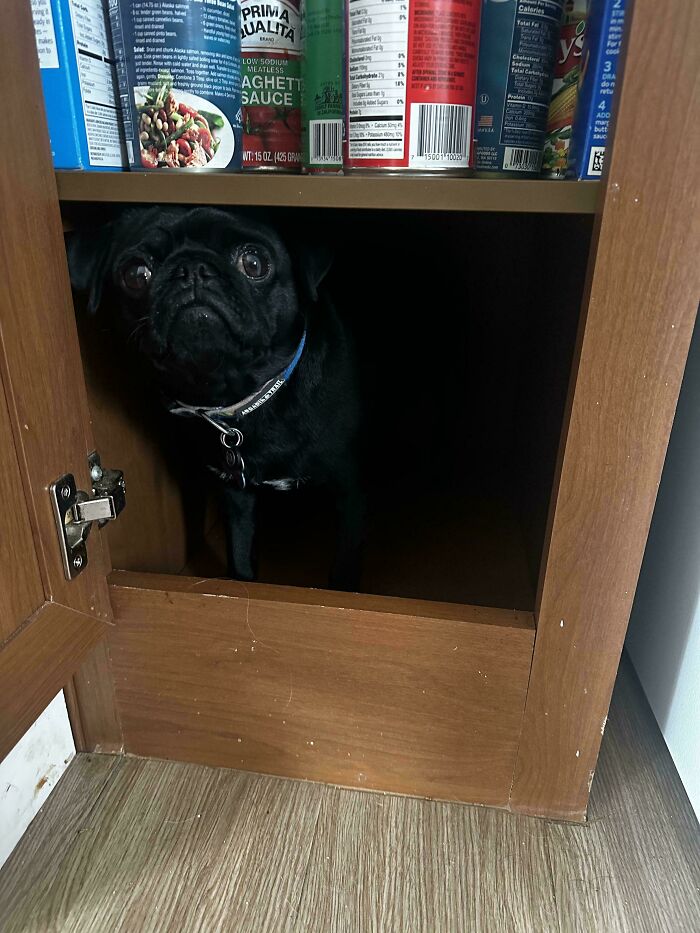 Searched Everywhere, Then Found This Panic Spot