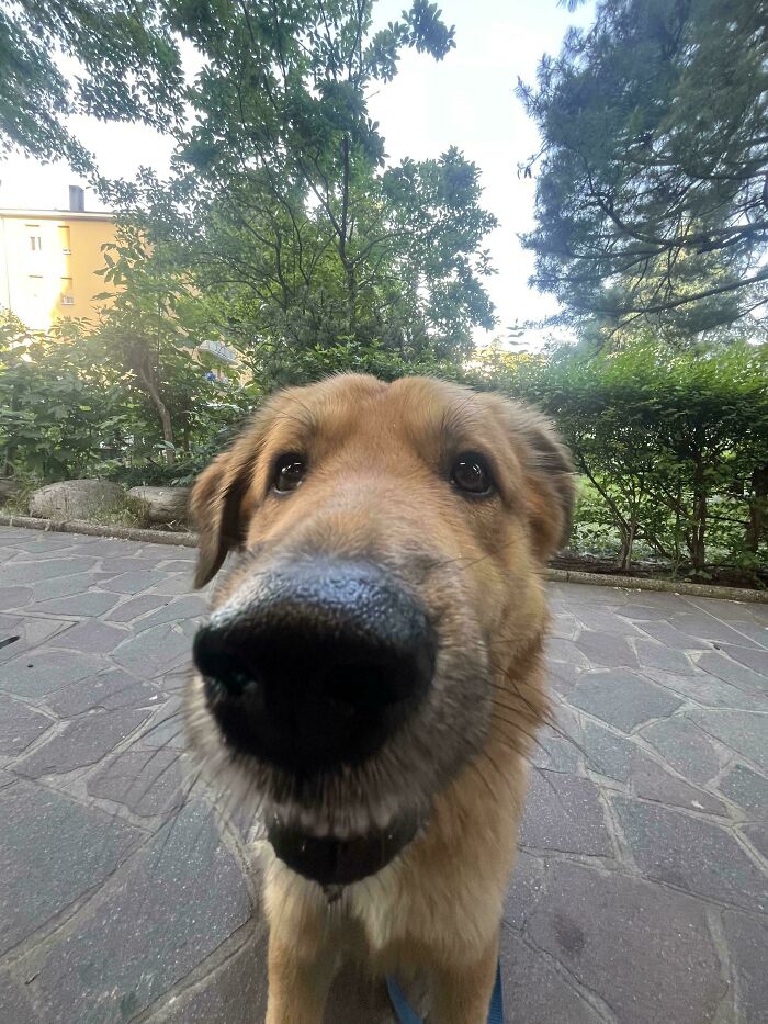 Looking Good, Looking Derpy