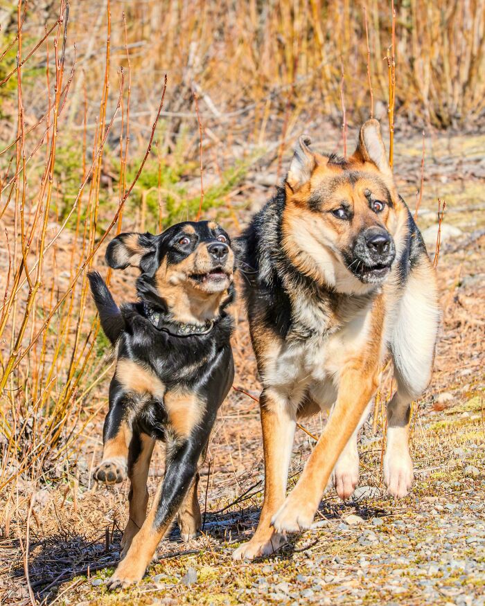 Hera & Clara: Double Trouble in Derp Mode