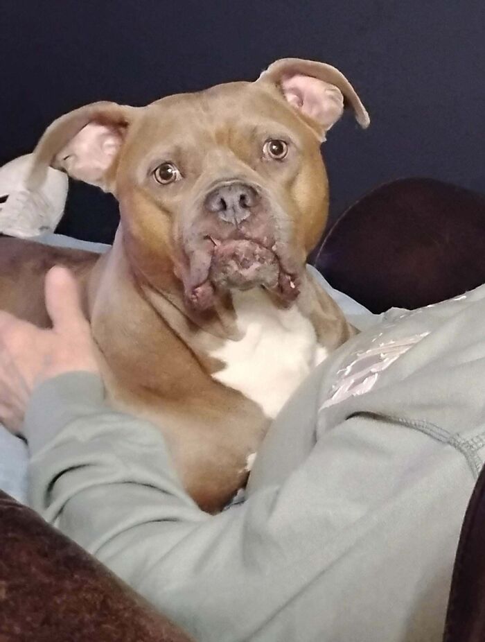 Dad's Penny: Is She Derpy Enough? Absolutely!