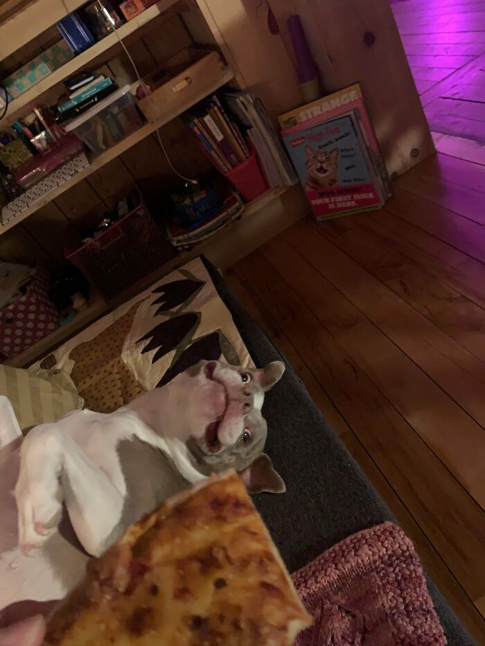 Dead Asleep Before Pizza Even Arrived