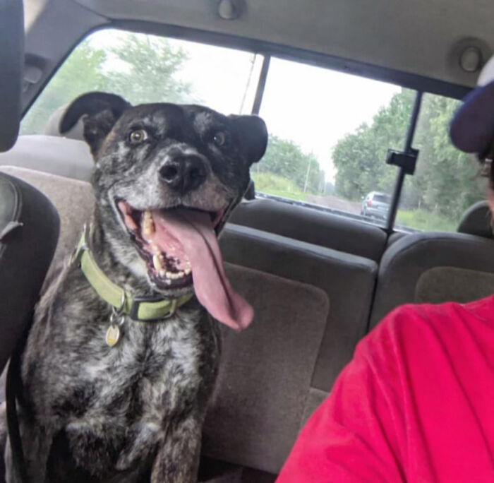 Jax’s Favorite: Truck Rides All Day