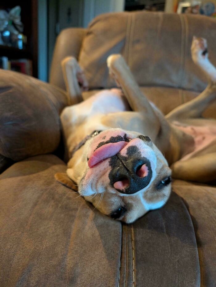Meepa Derps Out Every Night Like Clockwork