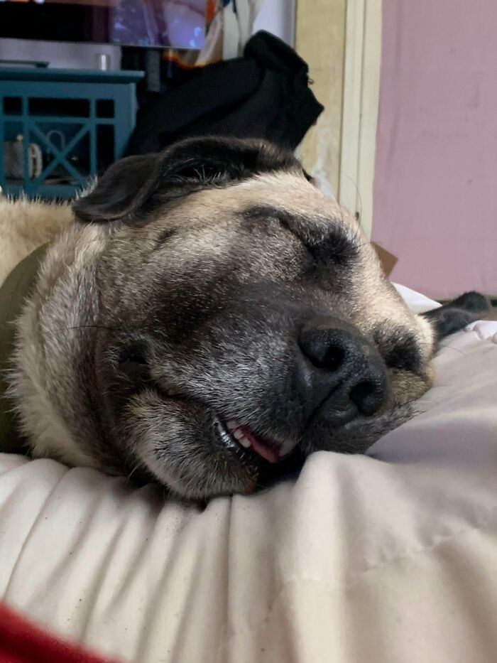 All Hail the Napping Queen